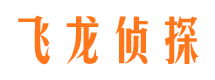 海陵市侦探公司